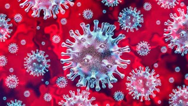 New Zealand Model of coronavirus fight