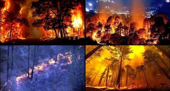 uttarakhand forest fires