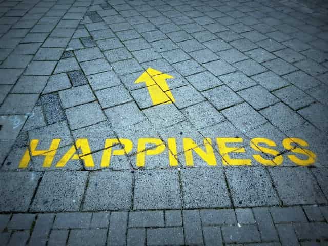 happiness or success 