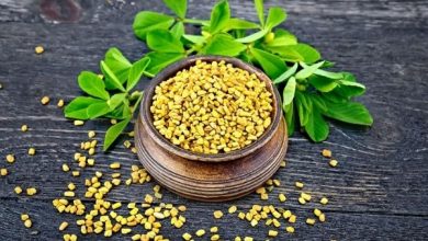 Fenugreek seeds