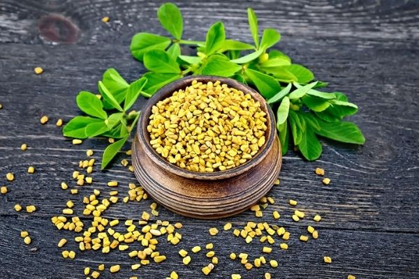 Fenugreek seeds