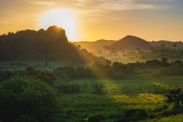 sun rise 