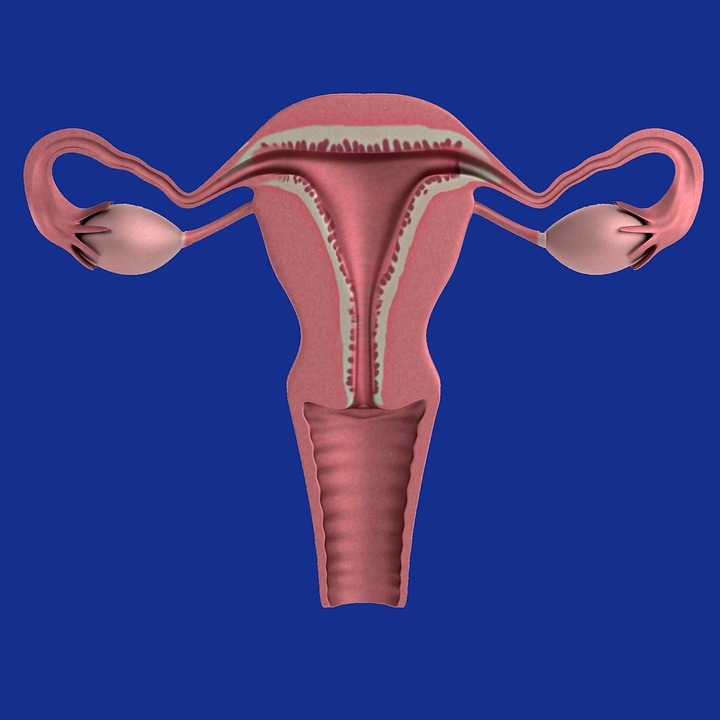 Premature Ovarian Failure