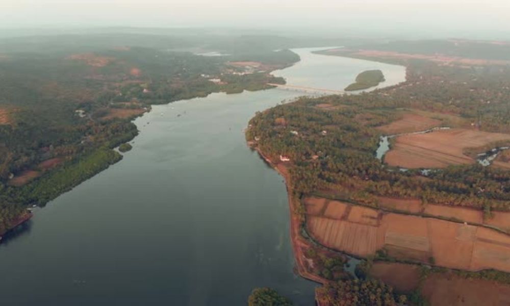 Cruise along the Chapora River