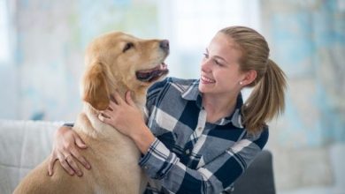 pet Owner