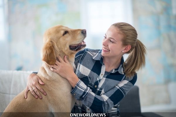pet Owner