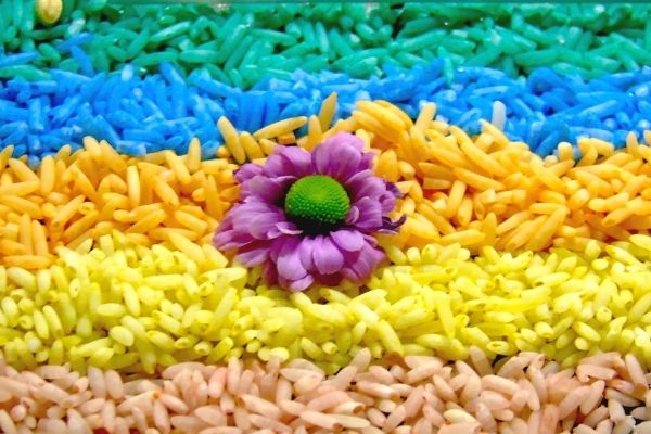 Coloured Rice rangoli