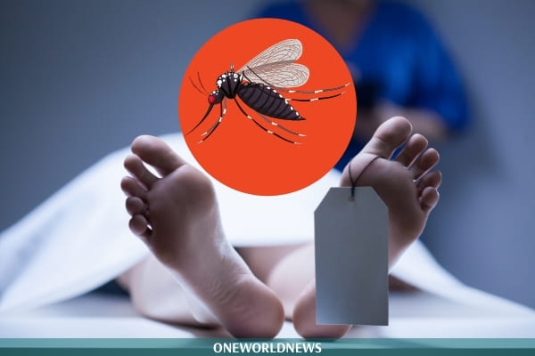 Dengue cases in Delhi