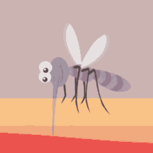 sachin mosquito