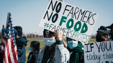 ONE YEAR OF FARMER PROTEST