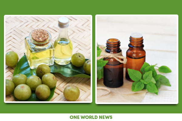 Homemade oils