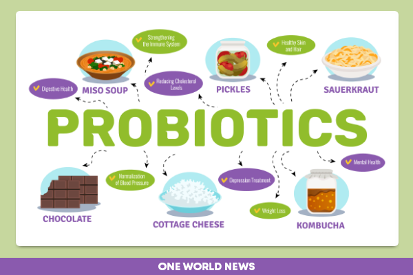 probiotic food