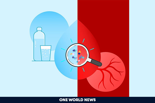 microplastics found in the human blood