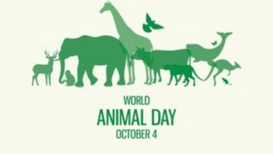 World Animal Welfare Day