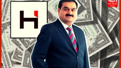 fall of Adani