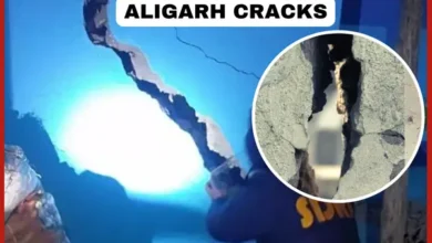 Aligarh cracks