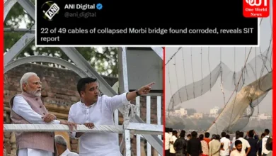 Morbi Bridge Collapse