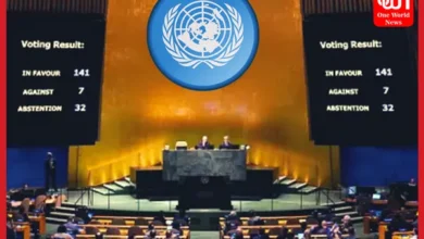 India abstains from UN vote