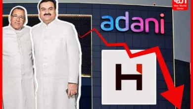 Adani's Brother