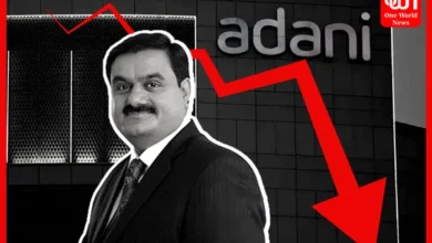 fall of adani