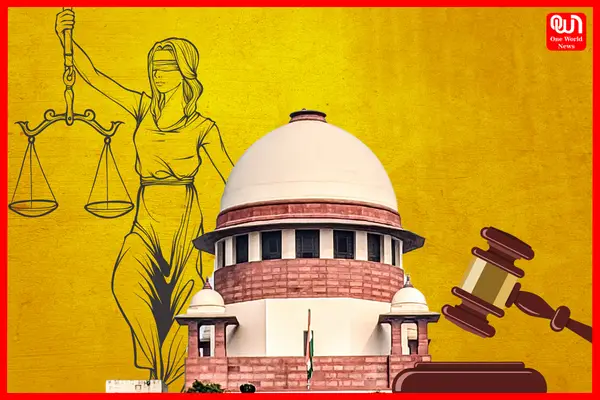 SC Judgements in February 2023