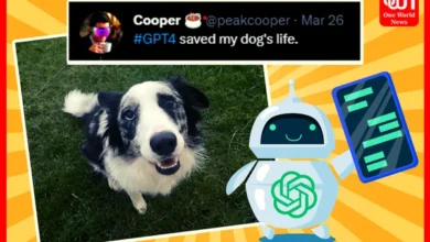 AI ChatGPT saves dog's life Twitter user's story goes viral