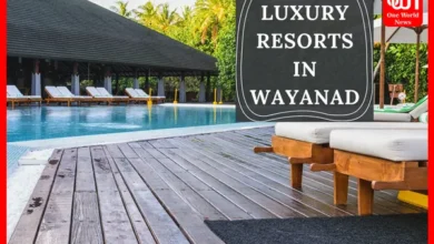 TOP 5 LUXURY RESORTS IN WAYANAD