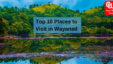 Top 10 Places to Visit in Wayanad