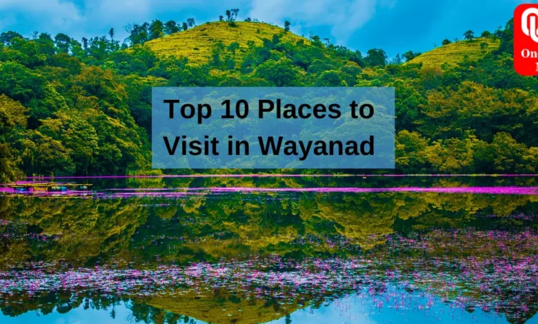 Top 10 Places to Visit in Wayanad