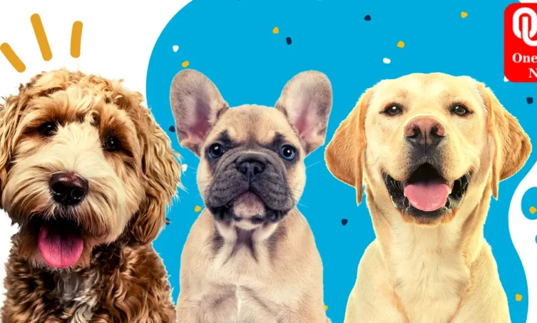 Most Popular US Dog Breeds of 2023