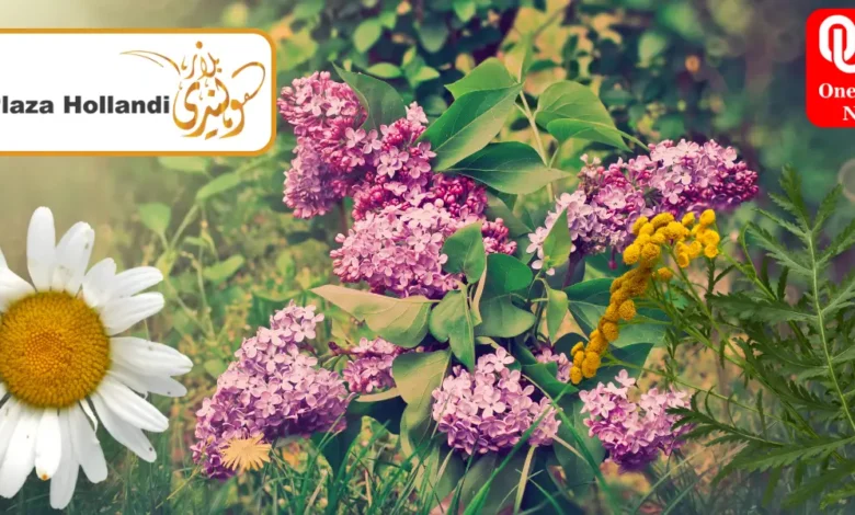 Outdoor Plant Selection