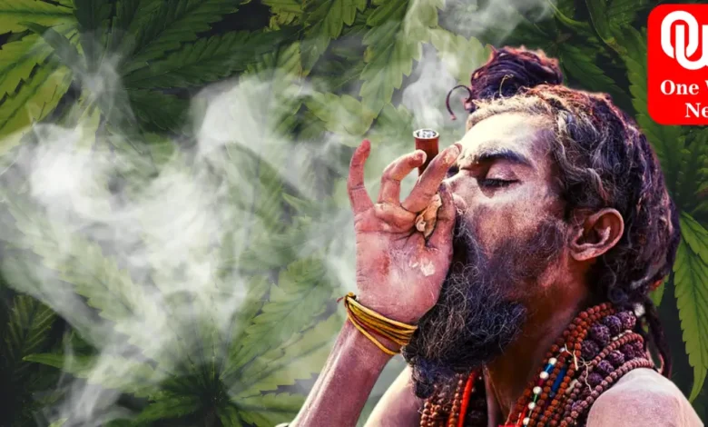 marijuana legalisation