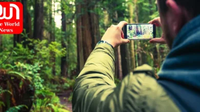 12 simple tips to take perfect photos from your phone