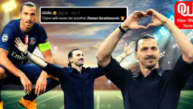 Zlatan Ibrahimovic Retires