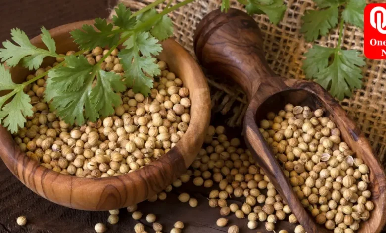 how to grow coriander at home