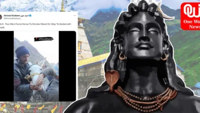 Mule Forced to Inhale Weed