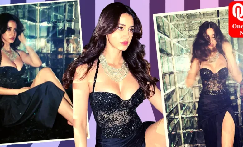 Disha Patani's sexy lingerie
