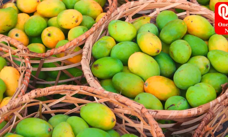 mangoes