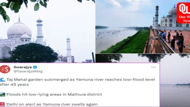 1st Time in 45 Years Yamuna Flood Reaches Taj Wall