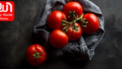 4 hundred kg of tomatoes stolen from Pune farmer, case registered