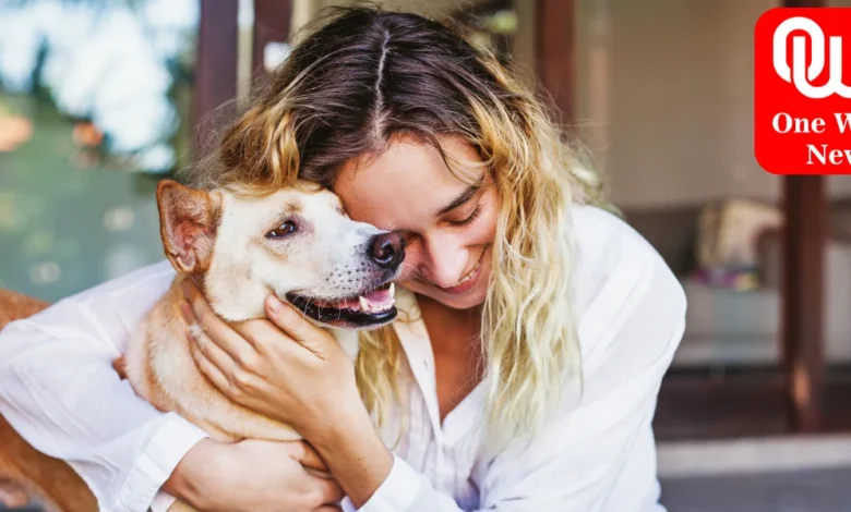 6 Monsoon Pet Trip Tips