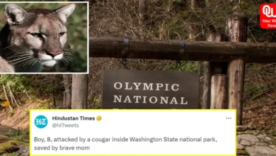 An Eight-year-old Boy Survives Cougar Attack, Saved by Mom