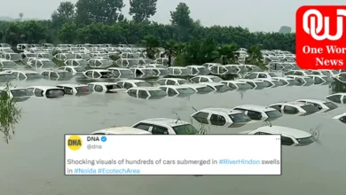 Cars Submerged as Hindon River Overflows