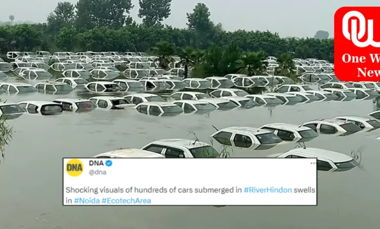 Cars Submerged as Hindon River Overflows