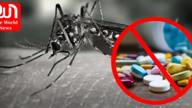 During Dengue Season Delhi Govt restricted Sale Of Painkillers