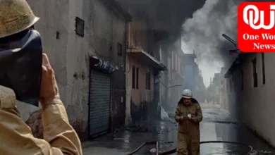 Factory-cum-godown fire in Delhi; no injuries reported.