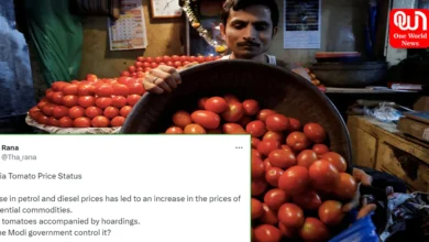 Farmers of Pune Make ₹ 2.8 Crore By Selling Tomatoes, Set Higher Target