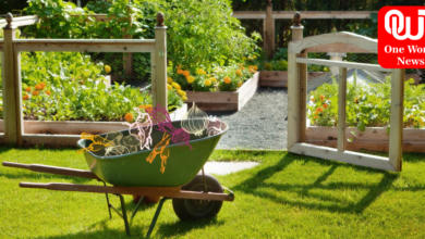 Gardening Tips and Landscaping Ideas Here's Your Complete Guide