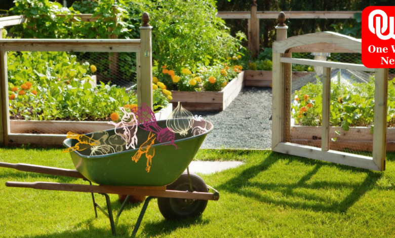 Gardening Tips and Landscaping Ideas Here's Your Complete Guide