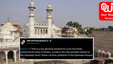 Gyanvapi Survey Begins, Mosque Committee Boycotts